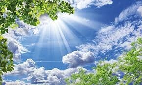 29 января участвуют